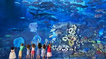 Dubai Aquarium & Underwater Zoo Admission Ticket