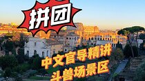 Colosseum Guided Tour in Chinese with Roman Forum and Palatine Hill