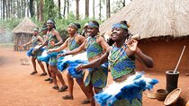 Half-Day Cultural Tour to Bomas of Kenya in Nairobi