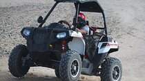 Thrilling Buggy Safari & Camel Ride with Transfers :Marsa Alam