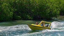 Jungle Tour with Snorkel in Cancun
