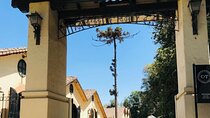 Private Wines Tours in Concha y Toro & Santa Rita Vineyards