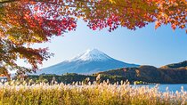 Experience the Stunning Nature of Mt.Fuji - Private Tour