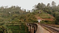 Ella Day Tour with Tea Factory Visit from Colombo or Negombo