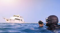 Tiran Island Cruise Experience with Intro Dive in Sharm El Sheikh