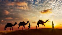 Agadir Sunset Camel Ride Tour with BBQ Dinner