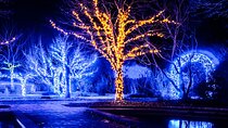Franklin’s Festive Lights Spectacular A Christmas Wonderland Tour