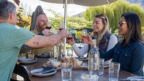 E-Bike Adventures Through the Wineries in Gibbston