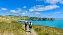 Full Day Guided Walking Tour and Picnic around Godley Head
