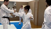 Karate Experience with the Shotokan Karate-do Instructor