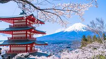 From Tokyo: Top 5 Scenic Spots of Mount Fuji Full-Day Tour 