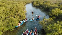 Eco Kayaking Adventure – Mangrove Exploration at Purple Island