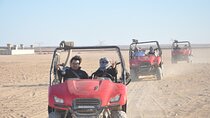 Drive Buggy Safari & Echo valley Adventure - Sharm El Sheikh