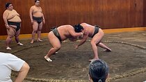 Chair Seat Guaranteed SUMO Practice +Photo +Culture Option