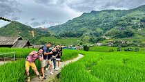7 Days Discover Northern Vietnam: Ninh Binh, Ha Long Bay & Sapa