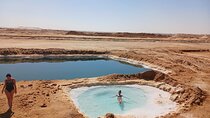 Siwa Oasis All inclusive 2 Days Tour from Cairo & Giza