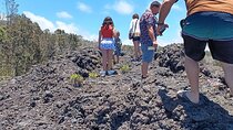 Private Hilo Shore Excursion Volcano National Park up to 10