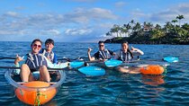 Turtle Town Clear Kayak & Snorkel Tour (10:30am-1pm)