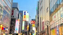 Akihabara Tour with Anime and Video Games Otaku Licensed Guide