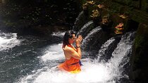 Best of Ubud Tour Combination Holy Water Cleansing