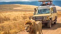 Hluhluwe Imfolozi Big 5 Game Reserve Tour from Durban