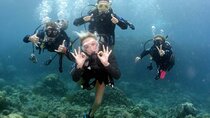 Hurghada Underwater Adventure: Full-Day Scuba Diving& Snorkeling 
