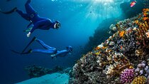 Hurghada Underwater Adventure: Full-Day Scuba Diving& Snorkeling 