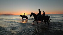 2-Hour Horse Ride Across Sharm El Sheikh’s Coast & Desert