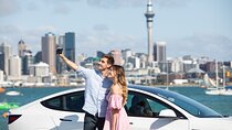 Auckland City Highlights Tour by Car or Van