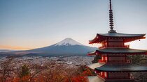 Mount fuji Private Tour