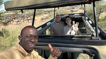 3 Day Serengeti and Ngorongoro Crater Safari Adventure
