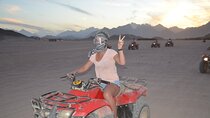 Family Adventure, ATV Quads, Buggies & Bedouin Night - Hurghada