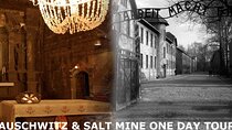 1 DAY Tours - Auschwitz and Salt Mine - Shared transport+tickets