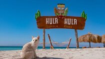 Hula Hula Island Private Boat with Lunch & Transfers – Hurghada