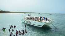 Punta Cana Private Boat Tour with Open Bar and BBQ