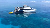 All Inclusive Great Barrier Reef Cruise w optional Scuba Diving