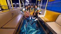 Dubai Aquarium, Underwater Zoo and Penguin Cove Ticket