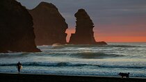 Piha Beach & Wilderness Nature : PRIVATE TOUR 8 hrs 