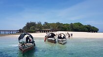 Prison Island + Stone Town (City tour) and Night Market Tour