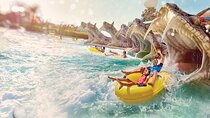Yas Water world Abu Dhabi With Optional Pickup And Drop Off 