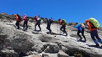 Private Mt Kilimanjaro Full Day Hike -Mandara 