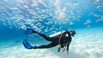 Diving Adventure at Ras Mohamed & White Island - Sharm El Sheikh