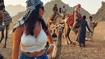 Super Safari ATV Quad, Camel, BBQ Dinner &Show in Sharm El Sheikh