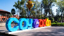 Full-day private tour from Mexico city to Coyoacán