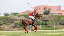 Marrakech Polo Sport - The kings Sport
