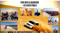 Desert Safari Dune Bashing Camel Ride Sand Surfing Atv or Buggy