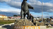Regular Bus El Calafate to Puerto Natales