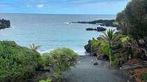 Small Group Full Day Road to Hana Adventure 