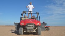Family Buggy Safari & Camel Ride Trip with Transfers : Marsa Alam