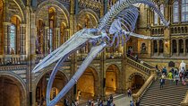  London Natural Marvels Museum Expedition Tour